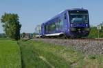 Kurz nach Mochenwangen werden VT 68 und VT 66 als BOB 87589, Aulendorf - Friedrichshafen Hafen, gleich den Schenkenwald durchfahren (06.05.2018).