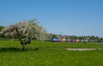 193 842 BoxXpress mit Containern Richtun Kornwestheim bei Ebersbach an der Fils.(8.5.2016)