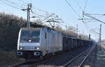 CTL Logistics GmbH, Berlin [D] mit der Railpool Lok  E 186 141-8  [NVR-Nummer: 91 80 6186 141-8 D-Rpool] und einem Ganzzug polnischer CTLL Hochbordwagen am 08.03.24 Durchfahrt Bahnhof Berlin-Hohenschönhausen. Viele Grüße an den Tf. !!! 