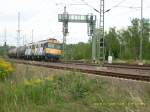 Diese Doppeltraktion rumnischer Diesellokomotiven berraschte mich am 05.09.06 in Muldenstein. Sie gehren der CTL Rail. es handelt sich hierbei um die Baureihenbezeichnung 60.