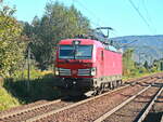 193 377 (NVR-Nummer: 91 80 6193 377-9 D-DB) fährt Solo in  in Richtung Bad Schandau durchfährt den Bahnhof Krippen am 08. Oktober 2021.
