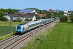 Für die Beförderung des ALX 79862 von Hof nach München HBF ab Regensburg war am 28. Mai 2023 die 183 004 eingeteilt. Bei Iffelkofen konnte ich die Leistung im industriellen Umfeld aufnehmen. Im Hintergrund erkennt man die ausgedehnten Anlagen des Ziegelwerks der Erlus AG.