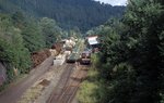 232 088  Bad Teinach  15.08.06