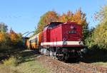 Am 13.10.18 fand in Weimar bei TEV (Thüringer Eisenbahnverein) ein Eisenbahnfest zum Saisonausklang statt. 110 001-5 (EBS) und 345 413 (Erfurter Gleisbau) fuhr den Pendelzug vom Bahnhof zum BW Weimar.