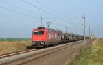 185 589 zog am 16.11.13 einen Leerzug Autotransportwagen durch Braschwitz Richtung Halle(S).