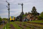 HLB Alstom Lint41 VT625 am 28.04.24 in Ober-Widdersheim