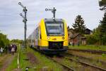 HLB Alstom Lint41 VT625 am 28.04.24 in Ober-Widdersheim 