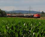 Die 185 630 (HGK) konnte bei herrlichem Sommerwetter mit ihrem Kesselzug in der Nhe von Trieb am 23.06.2011 aufgenommen werden.