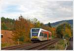 Ein von drei Stadler GTW 2/6 der Hellertalbahn als RB 96 (Hellertalbahn) Dillenburg-Haiger-Burbach-Neunkirchen-Herdorf-Betzdorf/Sieg, fhrt ber die gleichnamentliche Strecke Hellertalbahn (KBS 462),