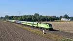 MRCE ES 64 U2-005 (182 505), vermietet an BTE (BahnTouristikExpress), mit FLX 1800 Köln Hbf - Hamburg-Altona (Marl [NI], 18.08.18).