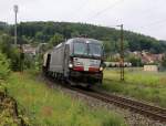 193 871 mit Getreidewagen in Fahrtrichtung Norden.