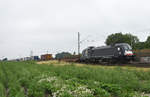 MRCE 182 564-5  Bosporus Sprinter  kommend mit Sattelauflieger aus Richtung Lüneburg.