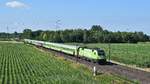 MRCE ES 64 U2-005 (182 505), vermietet an BTE (BahnTouristikExpress), mit FLX 1800 Köln Hbf - Hamburg-Altona (Marl [NI], 07.07.18).