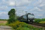 Die schwarze 185 547-7 von MRCE fuhr am 09/08/2014 südwärts durch Porz-Wahn.