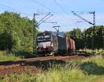 193 878 mit Containerzug in Fahrtrichtung Süden. Aufgenommen bei Niederhone am 17.06.2015.