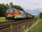 193 876  25 Jahre deutsche Wiedervereinigung  mit geschlossenen ARS-Autotransportwagen in Fahrtrichtung Süden. Aufgenommen bei Wehretal-Reichensachsen am 19.07.2015.