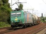 185 549-3 rollt mit einem Kesselwagenzug durch den Bahnhof
Werder (Havel).
(22.07.07)