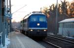 ... durchfahren den Bahnhof Burgkemnitz in Richtung Berlin. Die blaue 232 gehrt der Regental cargo(dank an Sylvio). Stimmt die Kategorie?