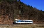 VT 08 vom Typ NE 81 der Regentalbahn als RB 32990 Lam - Cham, KBS 877 Lam - Cham, fotografiert zwischen Chamerau und Miltach am 04.03.2013 