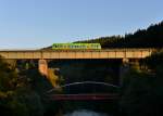 650 656 (VT 21) als RB nach Plattling am 02.10.2013 bei Regen.