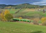 650 663 (VT 28) + 650 659 (VT 24) als RB nach Bayerisch Eisenstein am 27.10.2013 bei Triefenried.