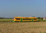 650 672 (VT 39) als RB nach Lam am 30.09.2013 bei Göttling.