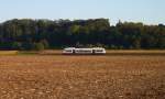 Ein Regioshuttle der SWEG am 28.09.11 zwischen Endingen und Riegel.