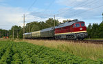 132 109 unternahm am 18.06.16 eine Sonderfahrt von Leipzig nach Berlin ins dortige Technikmuseum. Am Abend rollt die Ludmilla mit ihrem Sonderzug auf dem Gegengleis durch Burgkemnitz Richtung Bitterfeld.