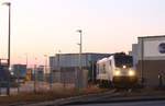 Railpool 187 009 (damals im Leiheinsatz für Locon) // Minden Industriehafen // 17.