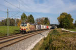 193 777 und 193 772 von Lokomotion fahren mit einem Ekol bei Übersee in Richtung München, aufgenommen am 13.