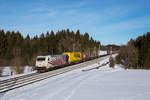 185 666 von Lokomotion mit einem KLV bei Sossau, aufgenommen am 8. Februar 2019.