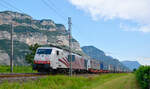 Lokomotion 189 901 rollt mit einem KLV-Zug vom Brenner kommend nach Verona bei Dolcé durch das Tal der Etsch. 28.08.2021