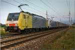 Durch die Tauernbahnsperre kam der Lokomotion Zug 41182 bespannt mit 189 917 & 185 662 ins Murtal.
Zeltweg 22.09.2009