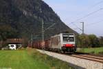 186 281 mit Stahlzug am 12.10.2014 bei Niederaudorf.