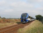 13.6.16 zwischen Berlin-Karow und Schönerlinde. 632 025 / 139 020 mit 632 026 / 139 021 im NEB Farbkleid als Sonderfahrt unterwegs.