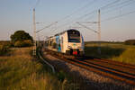 ODEG 4746 807 am Abend des 05.06.2023 als RE9 Richtung Stralsund, bei Zirkow Hof.