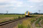 VT 646.044 (646 044-7) ODEG - Ostdeutsche Eisenbahn GmbH als OE51 (OE 79617) von Rathenow nach Brandenburg Altstadt bei Fohrde.