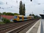 ODEG 650.64 und 650.82 nach Wriezen fahren am 24.09.2014 durch Berlin-Karow.