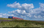 PRESS 246 049 / RE6 Husum - Westerland (Sylt) / Morsum, 23.