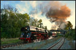 Dunkle Wolken über Marktschorgast: Am 30.09. & 01.10.2023 feierte das DDM Deutsches Dampflokomotiv Museum (Deutsches Dampflokomotivmuseum) in Neuenmarkt-Wirsberg das Jubiläum  175 Jahre Schiefe Ebene . Zu diesem Anlass reisten fünf Sonderzüge an. Einer davon war am Sonntag die PRESS, die mit ihrer 01 509-8 und der dicken Babelsbergerin 118 757-4 anreiste.
Hier meine Bilder von der Rückfahrt, als sich die beiden am Abend mit vereinten Kräften die Schiefe Ebene hoch gequält haben. In Marktschorgast durften sich die Maschinen erstmal ausruhen und die Zugkreuzung mit dem planmäßigen Regionalexpress nach Bamberg abwarten. Der kam übrigens hinter mir bereits eine Minute VOR!!! Plan auf Gleis 1 eingefahren (siehe Hp 1 am Signal P1) und brachte mich dann auch pünktlich heim. 