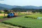 PRESS 204 011-5 zieht am 07.06.2014 einen mit Graffiti verschmierten Wagen durch das Oberrheintal Richtung Norden. Aufgenommen bei Kollmarsreute.