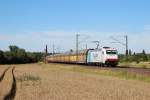 Am 1.8.2013 war RTB 185 638 mit einem Altmann-Zug bei Elze(Han) auf dem Weg Richtung Sden.