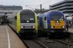 ER 20-015 und DE2000-03 der NOB stehen am 22.8.2010 mit ihren Zgen in Hamburg-Altona.