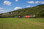 193 554, der TX Leitwolf, fuhr mit einem Containerzug am 19. August 2017 bei Thüngersheim in Richtung Würzburg.