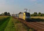 182 596 mit einem Walter-KLV am 04.09.2014 bei Plattling.