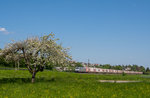 185 538 TXL mit Mars-KLV Richtung Kornwestheim bei Ebersbach.(8.5.2016)