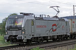 TX Logistik 193 806-7 mit einem Fußballfan am 15.06.16  16:55 Unterwegs nördlich von Salzderhelden am BÜ 75,1 in Richtung Göttingen  