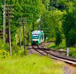 In den grünen Wäldern des Westerwaldes....
Der VT 261 (95 80 0648 161-7/661-6 D-VCT) der vectus Verkehrsgesellschaft mbH am 04.06.2013 kurz vor der Einfahrt in den Bahnhof Nistertal / Bad Marienberg (früher Bf Erbach/Westerwald). 
Er fährt als RB auf der Oberwesterwaldbahn (KBS 461) die Verbindung Limburg(Lahn) - Westerburg - Hachenburg - Altenkirchen - Au (Sieg).