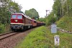 232 356-6 und 155 159-7 (WFL) fuhren am 20.06.20 einen Holzzug von Triptis nach Kaufering. Hier ist der Zug bei der Ausfahrt in Pößneck oberer Bahnhof zu sehen.