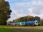 WestfalenBahn ET 602 als RE60 zwischen Rheine und Rodde, 07.11.2023